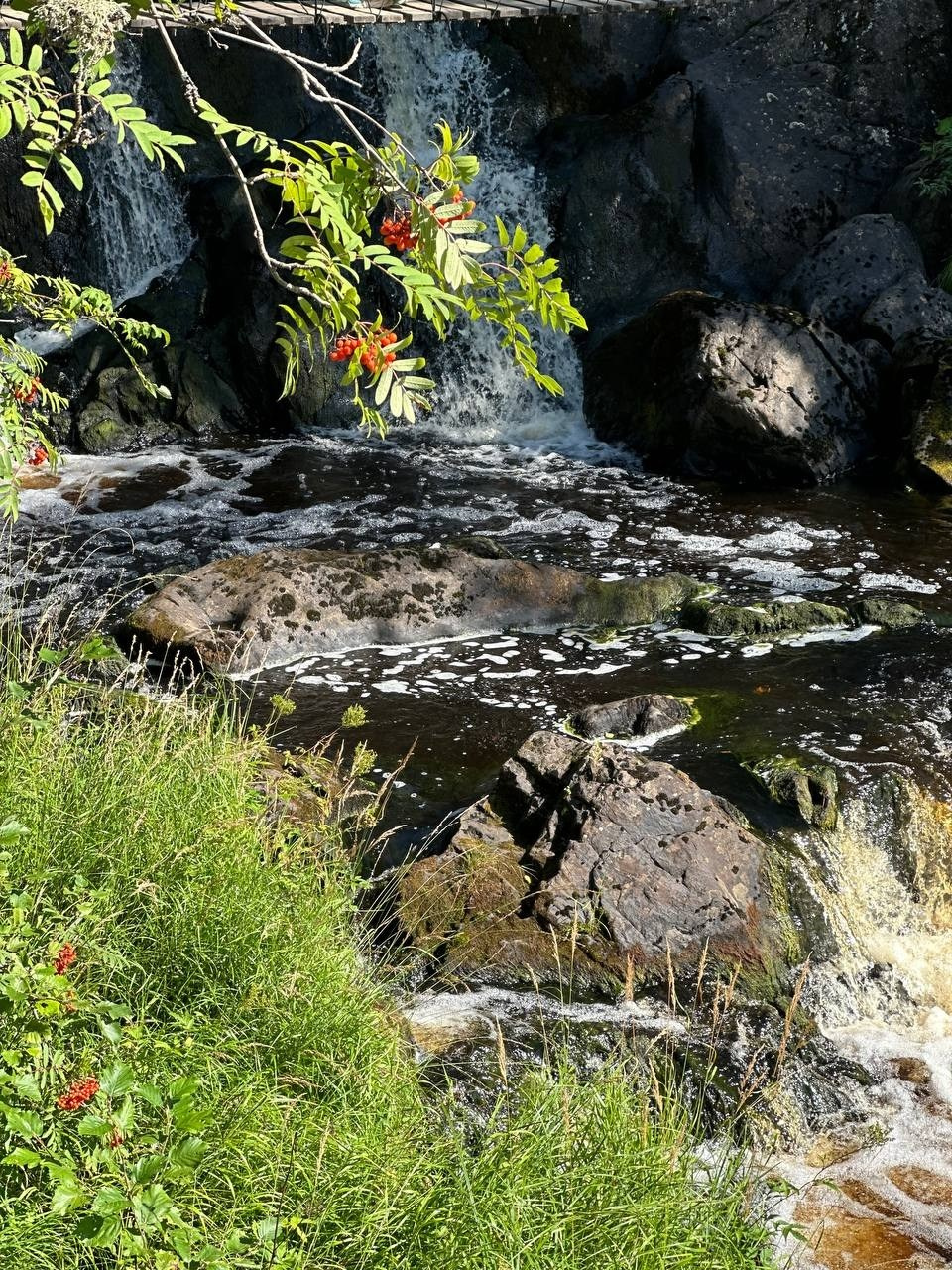 Карелия | 16-18.08.24. Галерея Фантим