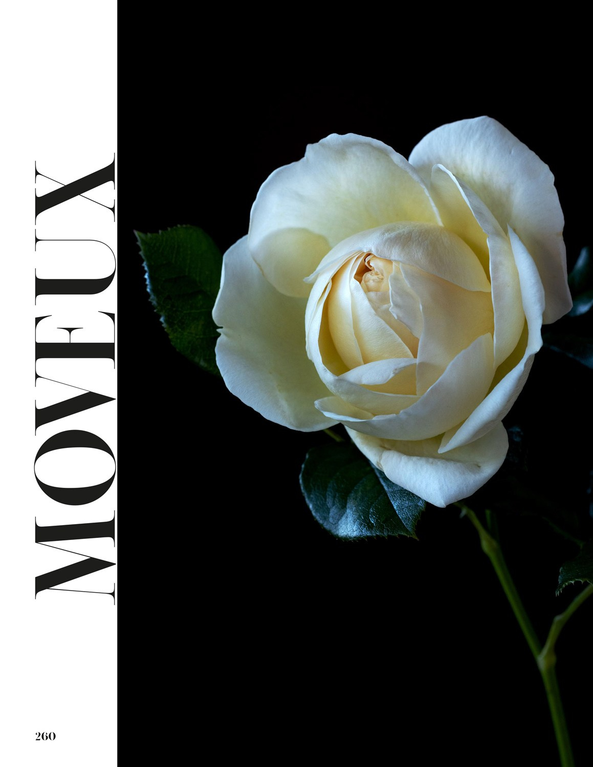 Exhibitions. Author’s fine art prints with international delivery