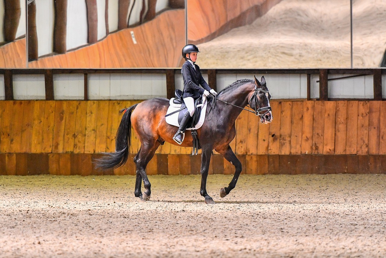 Отзывы. ТУРНИРНАЯ КОННАЯ ФОТОГРАФИЯ, Руднева Ольга и Евгений Адеев