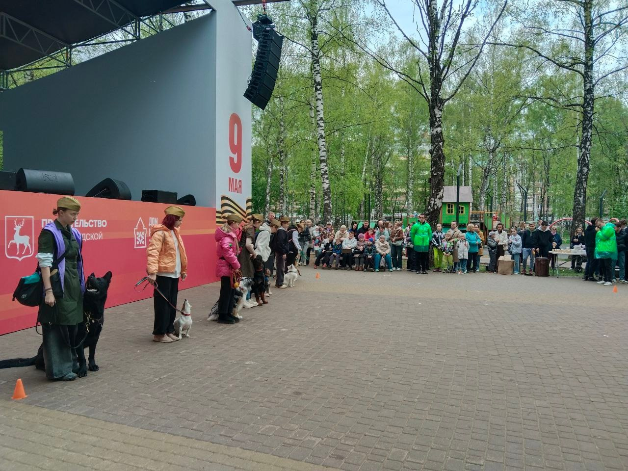 Практические занятия по дрессировке. НРОО КЦ "Собаковод"