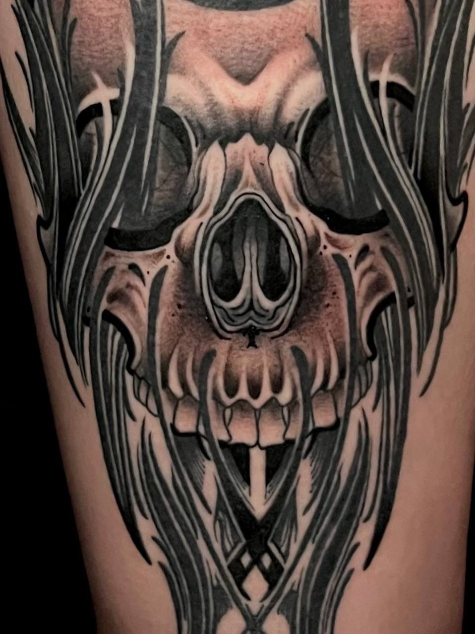 Работы Тимофея