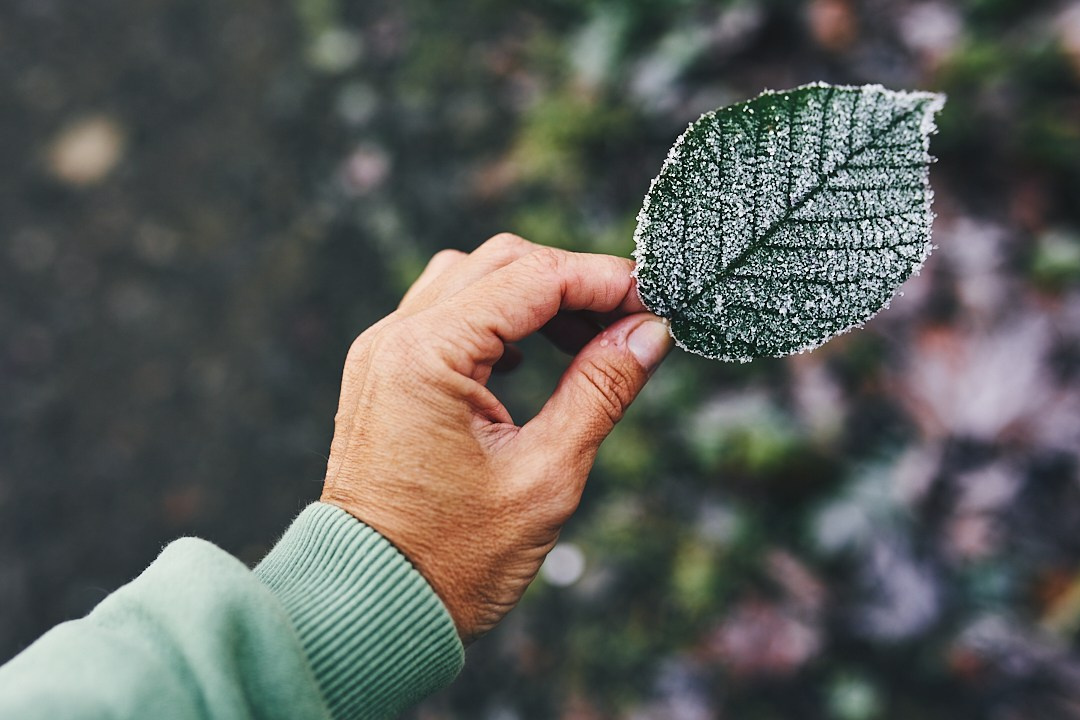 Фотографии с похода на водопад Поликария. Фотограф в Сочи Катя Гончарова
