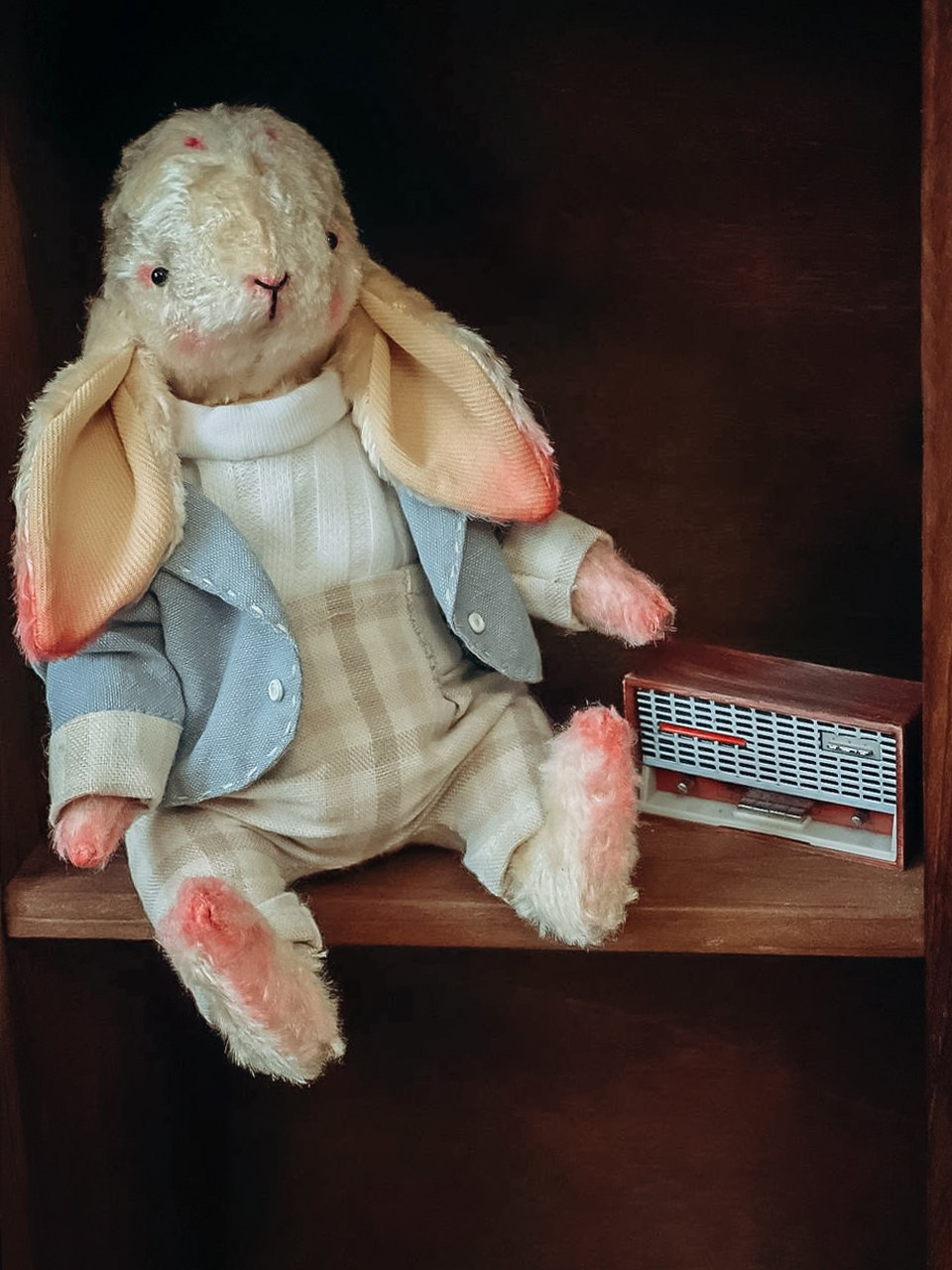 Тедди. Фотограф Ольга Сальманович