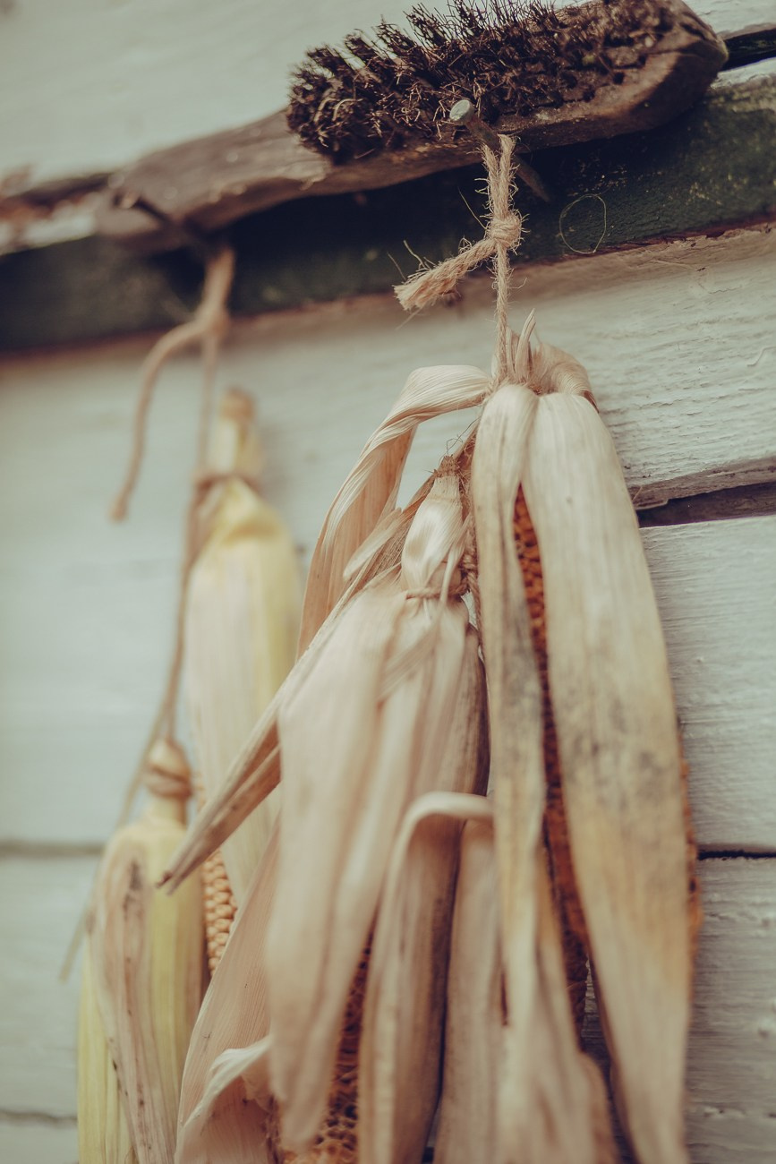 ЛИЗА И ЕЛИСЕЙ. Фотограф Дарья Хрипач
