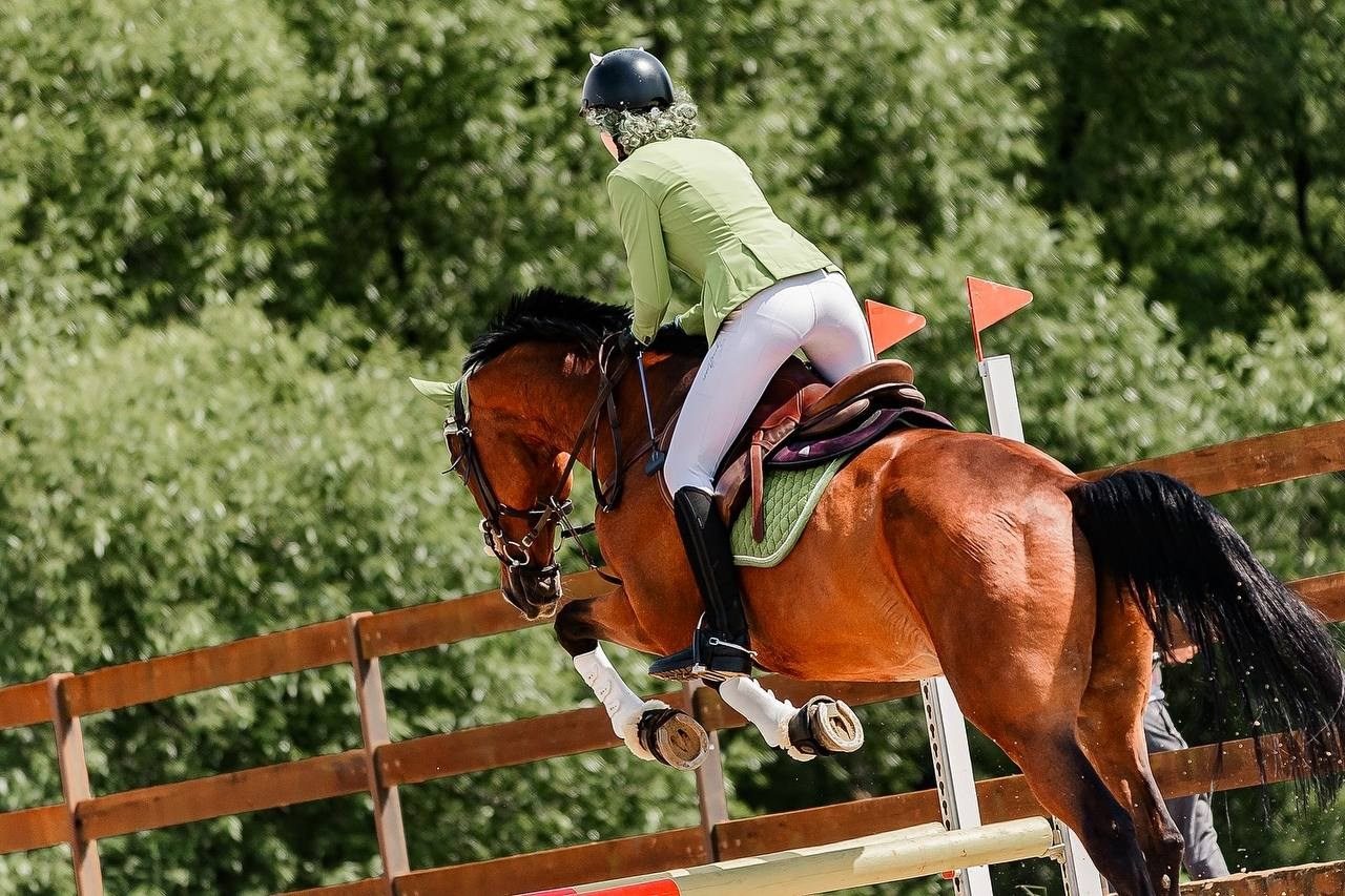 ЛЕТНИЙ КУБОК НА ПРИЗЫ КСК «ЖДАНОВСКОЕ ПОДВОРЬЕ» ПО КОНКУРУ. Конный фотограф Куракина Дарья • Фотосессии с лошадьми