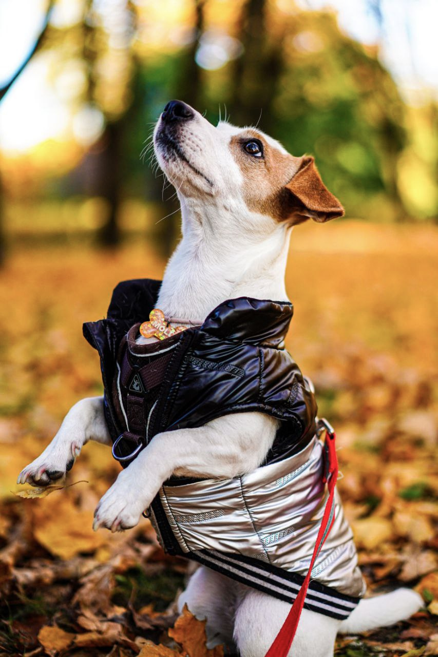 Другая съемка. Репортажный и портретный фотограф / видеограф (СПБ)