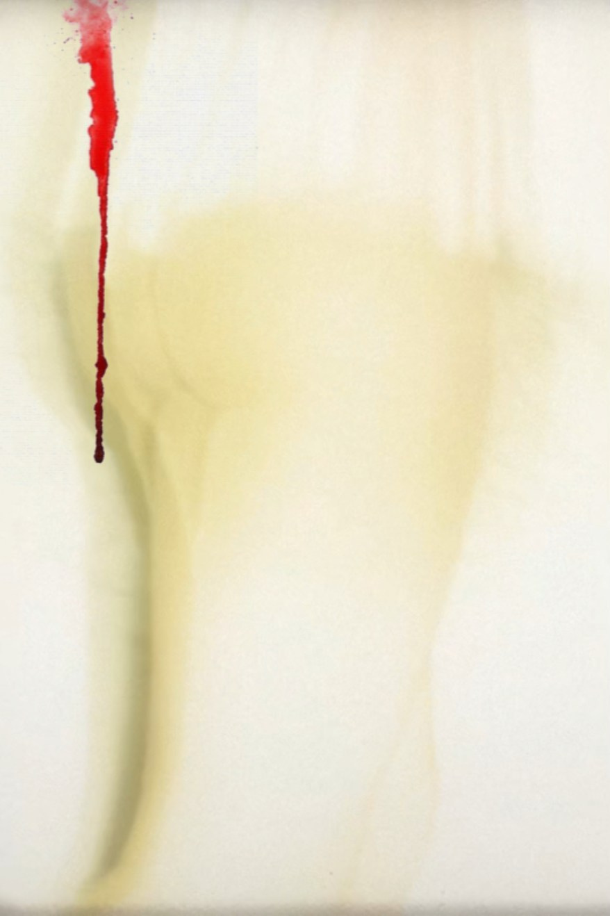 Батанова Елена «Мир женщины». Женский фотограф, видеограф, визуальный артист. Радужный ХМАО