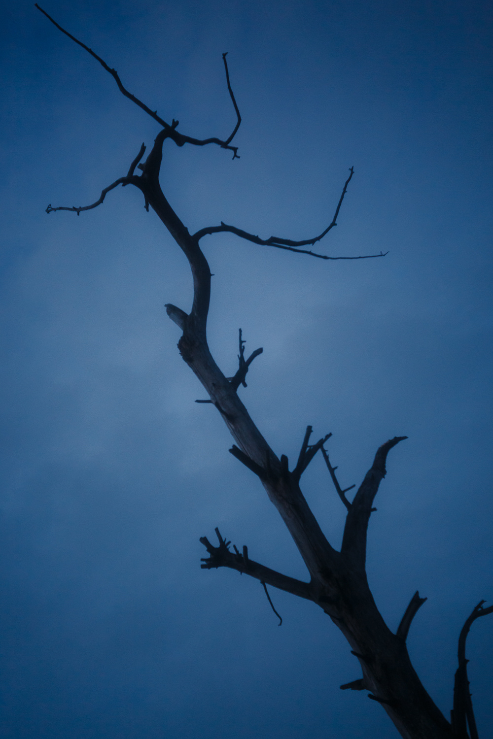 Даниил Демкин