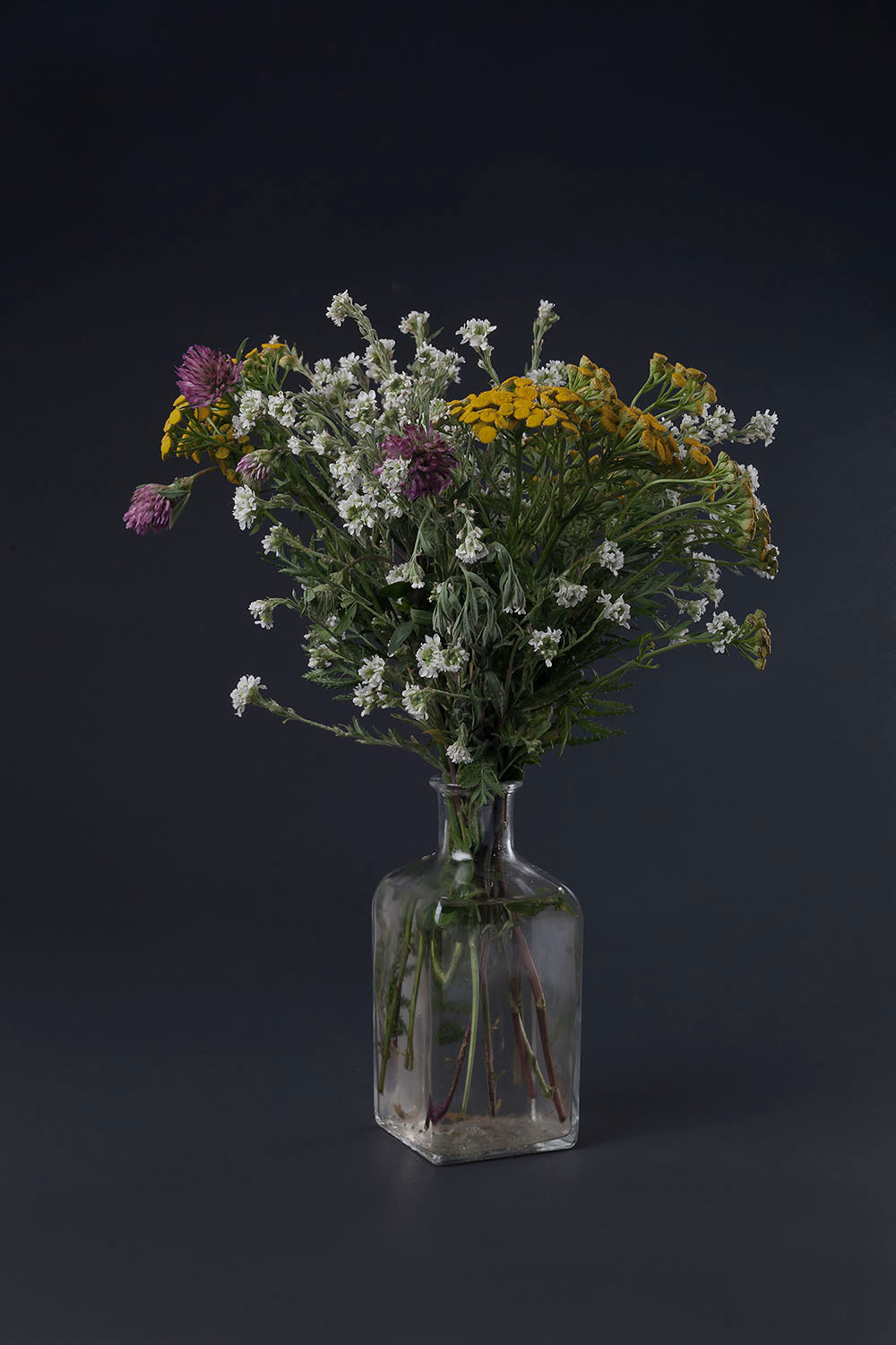 Марина Кайдалова