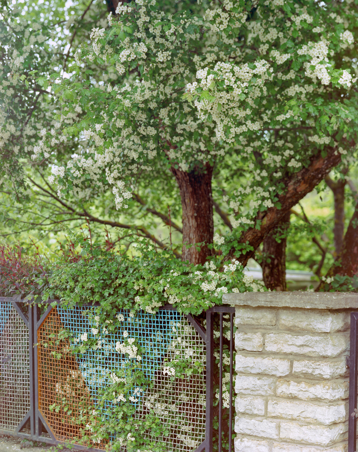 Юрий Павлов