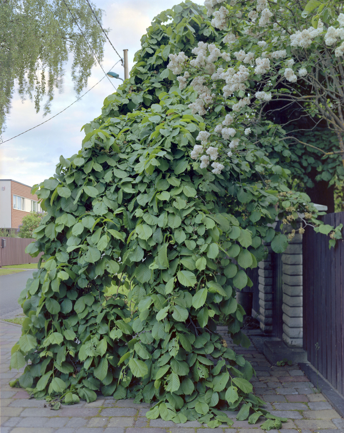 Юрий Павлов