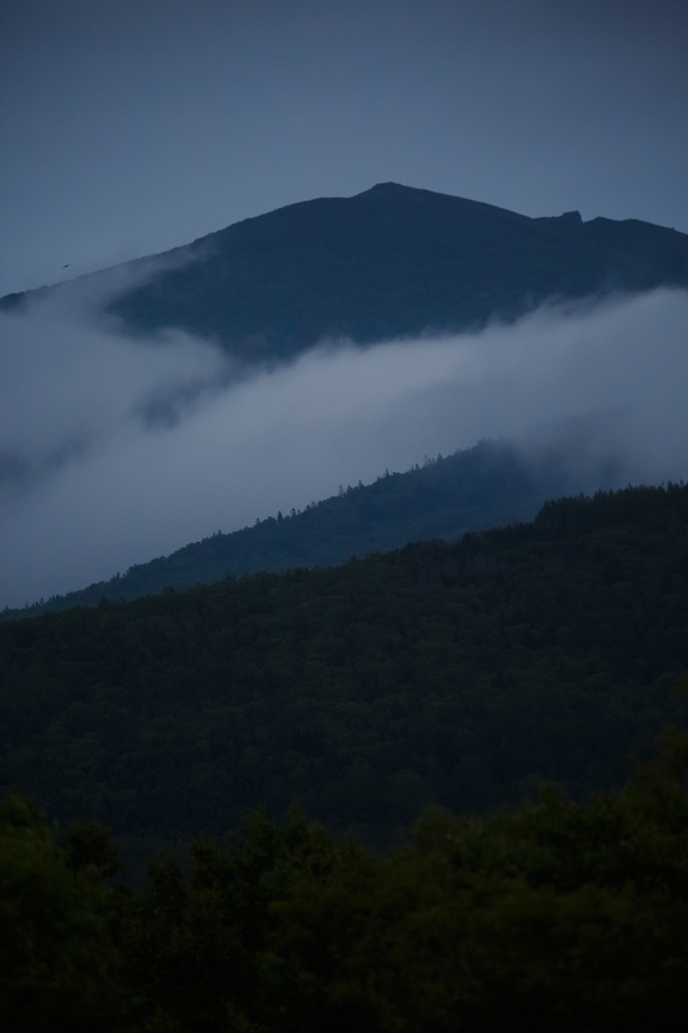 Даниил Демкин