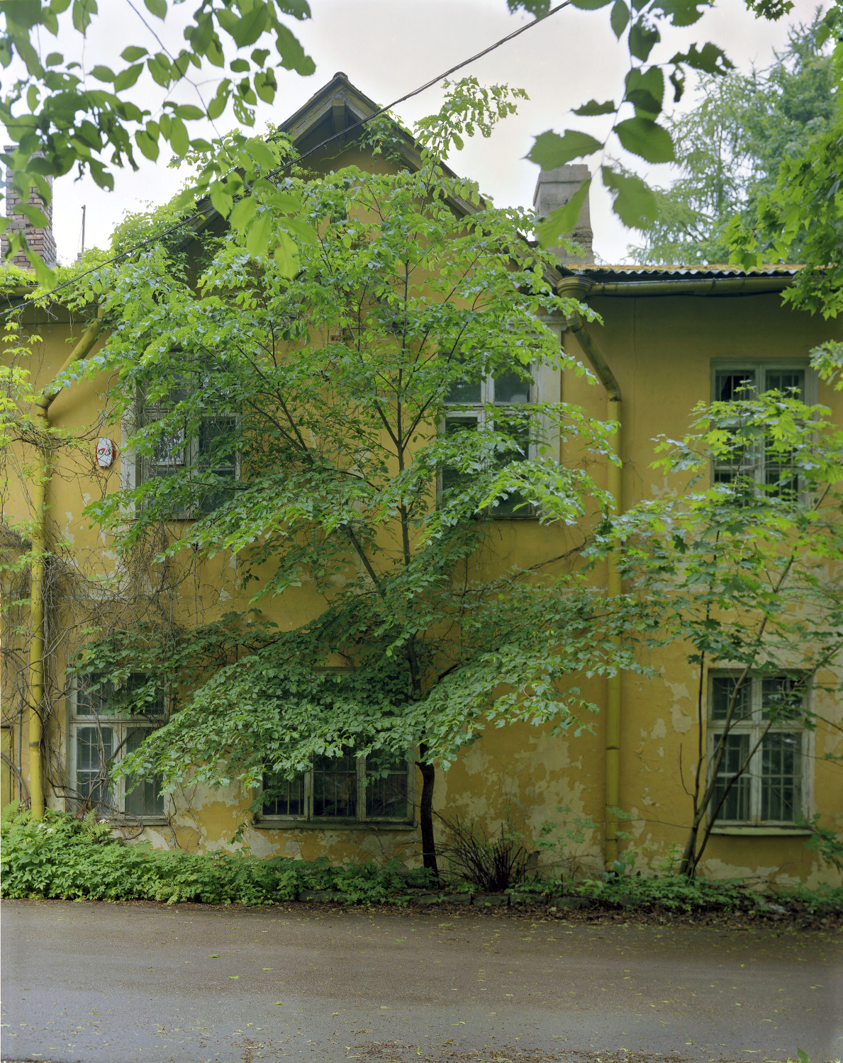 Юрий Павлов