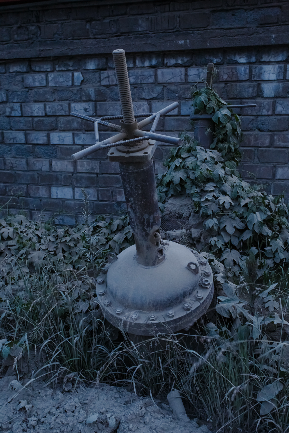 Даниил Демкин