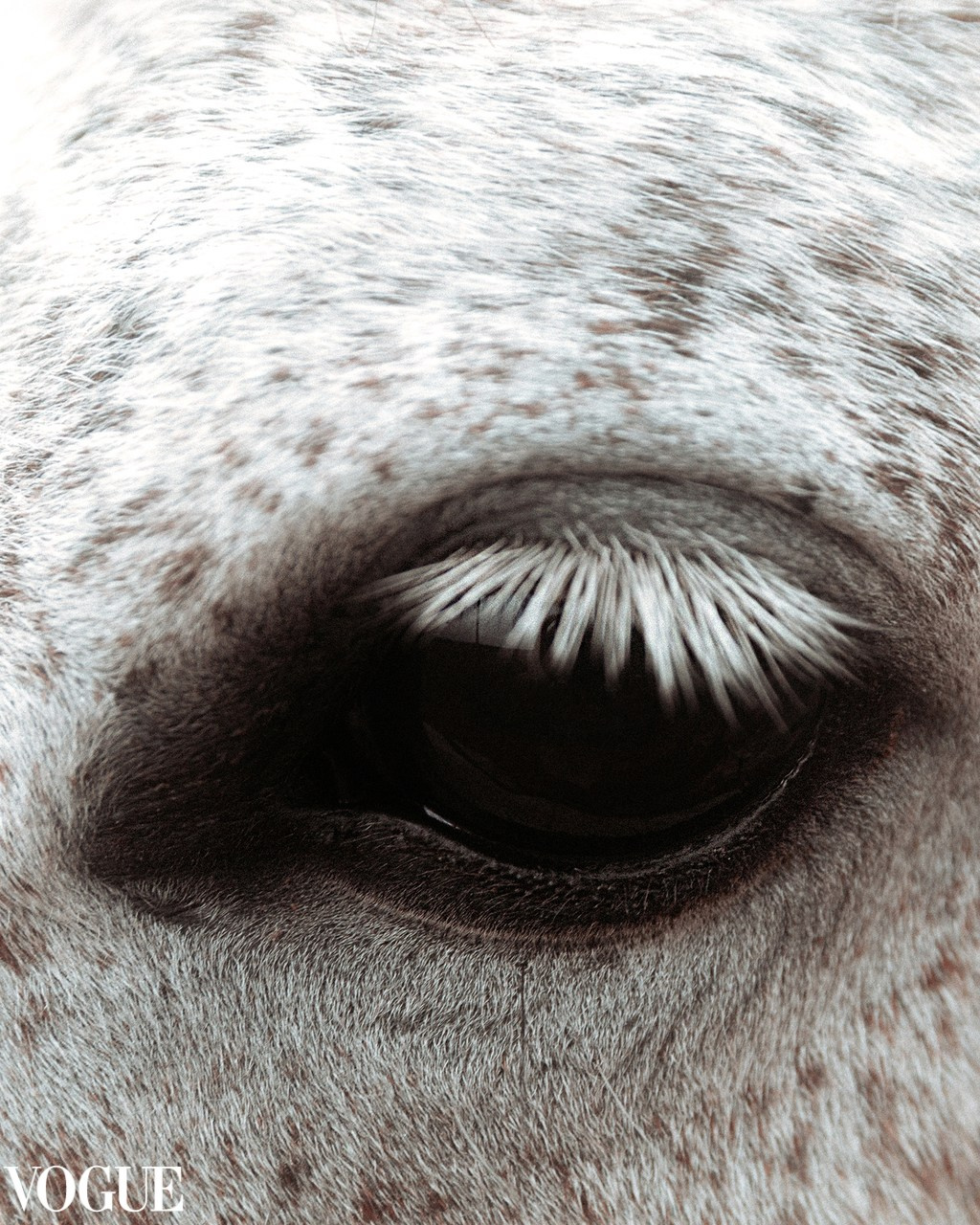 Портретный фотограф Дорошко Анастасия