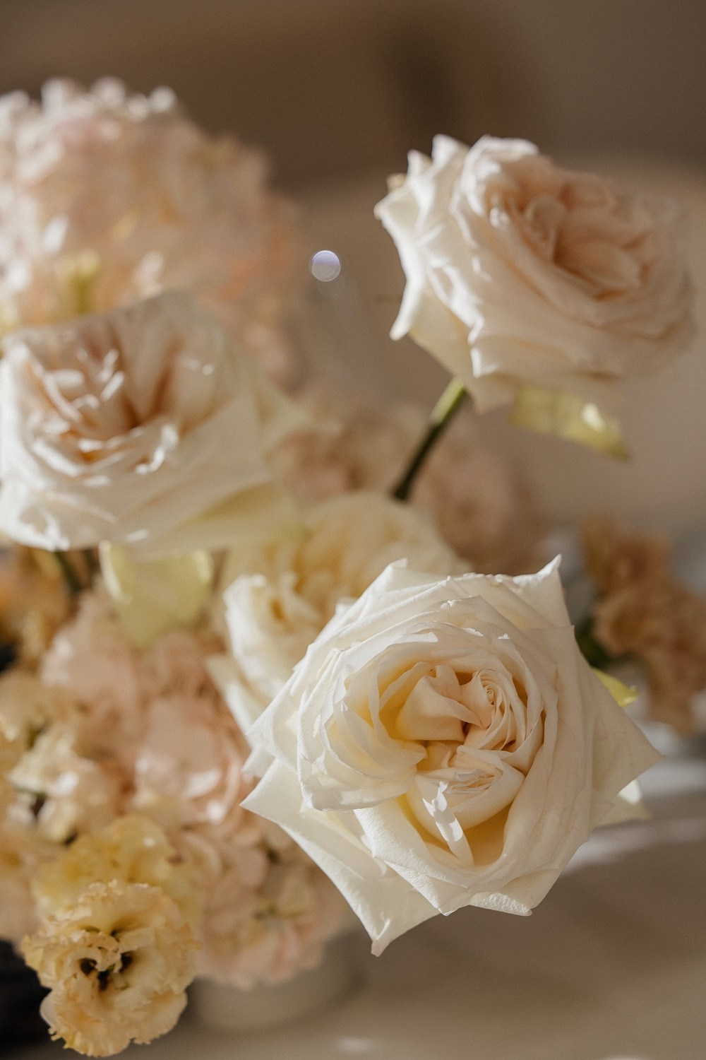 D & E. Свадебный фотограф Москва