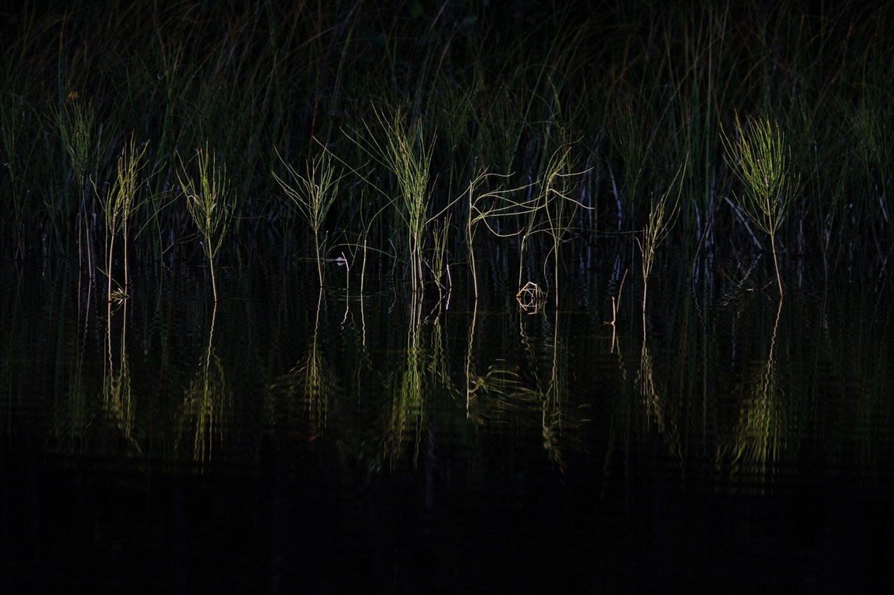 Архангельская область. Фотограф Евгений Андреев