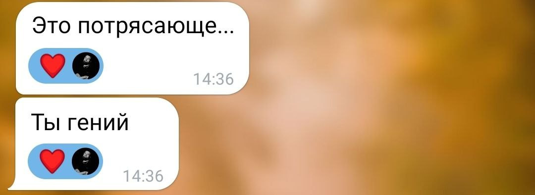 Отзывы. Видеограф Илья Антоненко