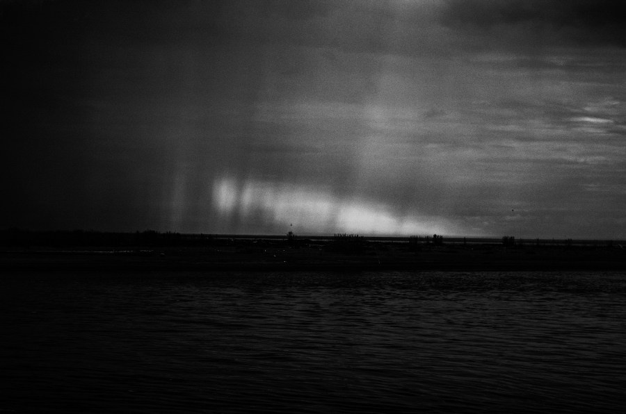 Summer Shore. Vitaly Severov