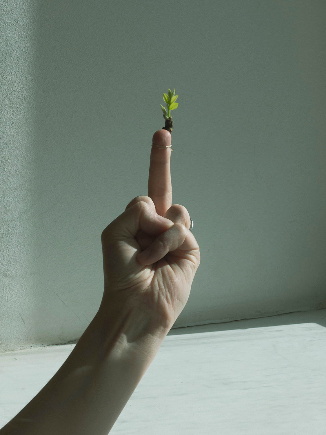 Папа, я и крокодил. Aleksandra Mikhailova multimedia artist