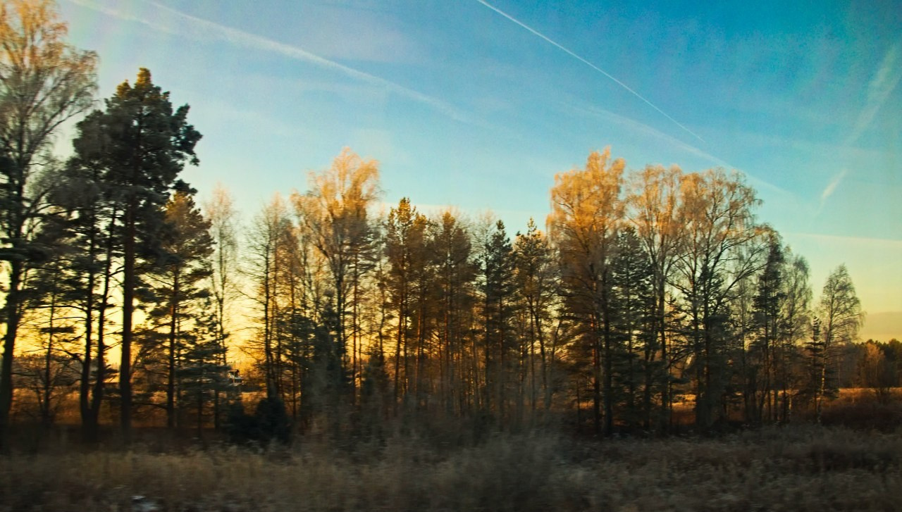 Нижний Новгород | 22-23.11.2014. Галерея Фантим