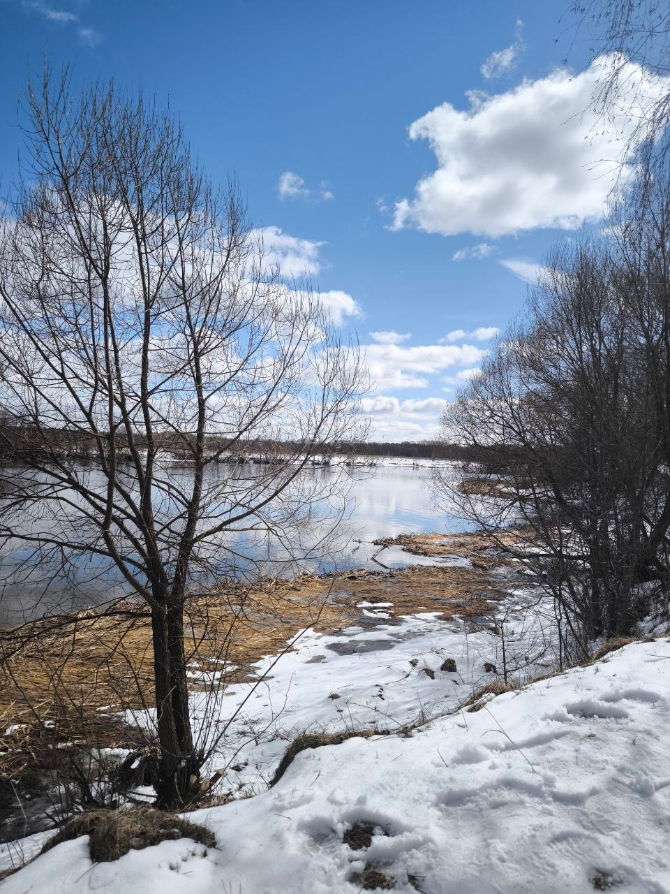Дубна. Экскурсионная поездка | 12.04.2025. Галерея Фантим