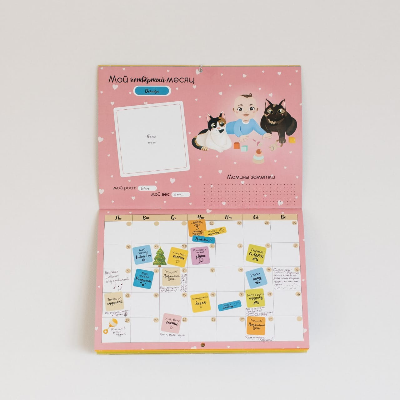 Видеограф Анастасия. Подрядчики и друзья сети свадебных площадок House for wedding