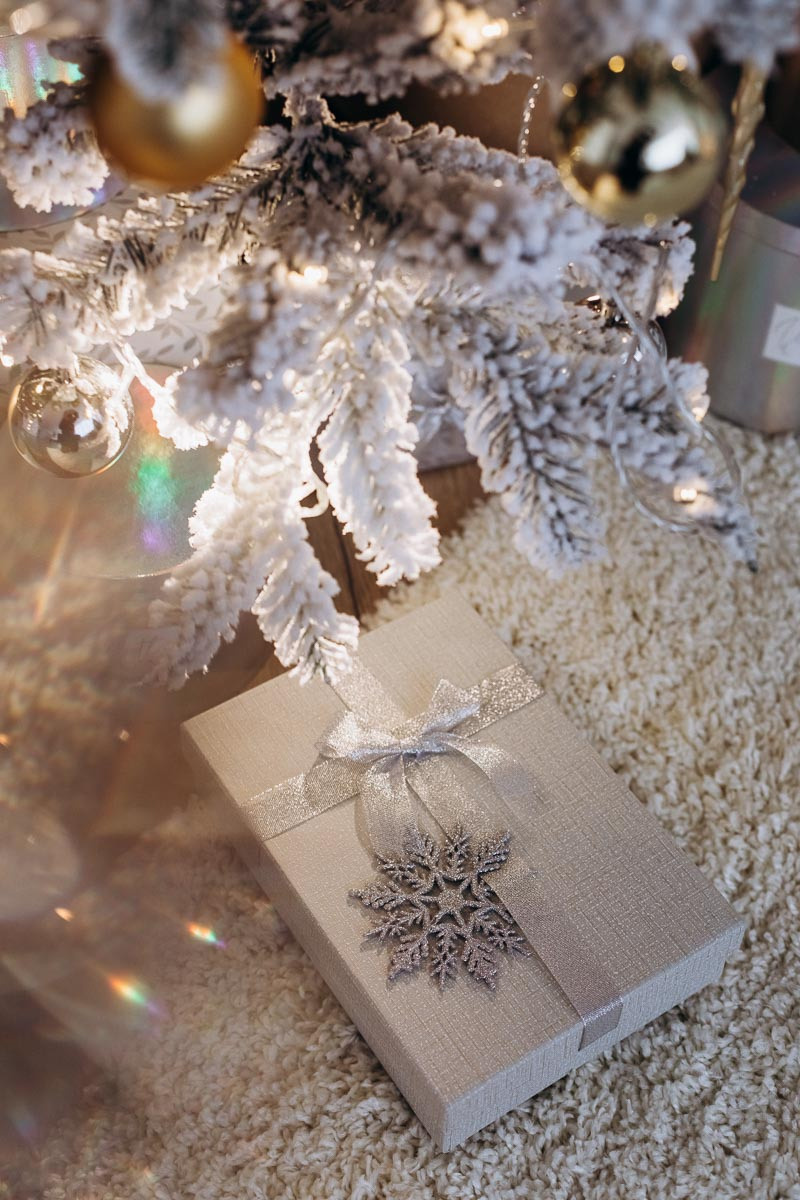 Новый год 2020-2021. Свадебный и семейный фотограф Ксения Шекк Екатеринбург