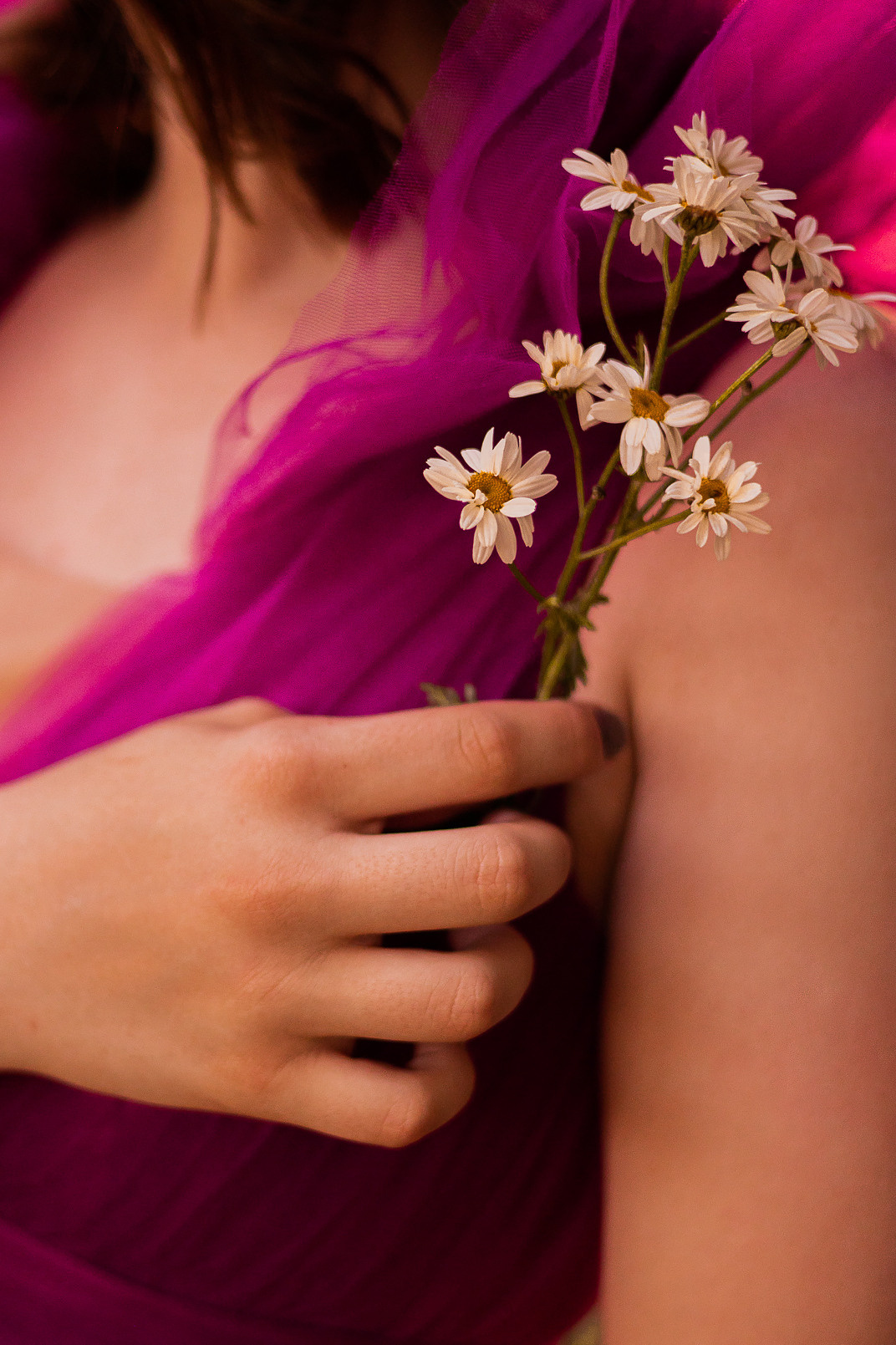 Волшебный лес