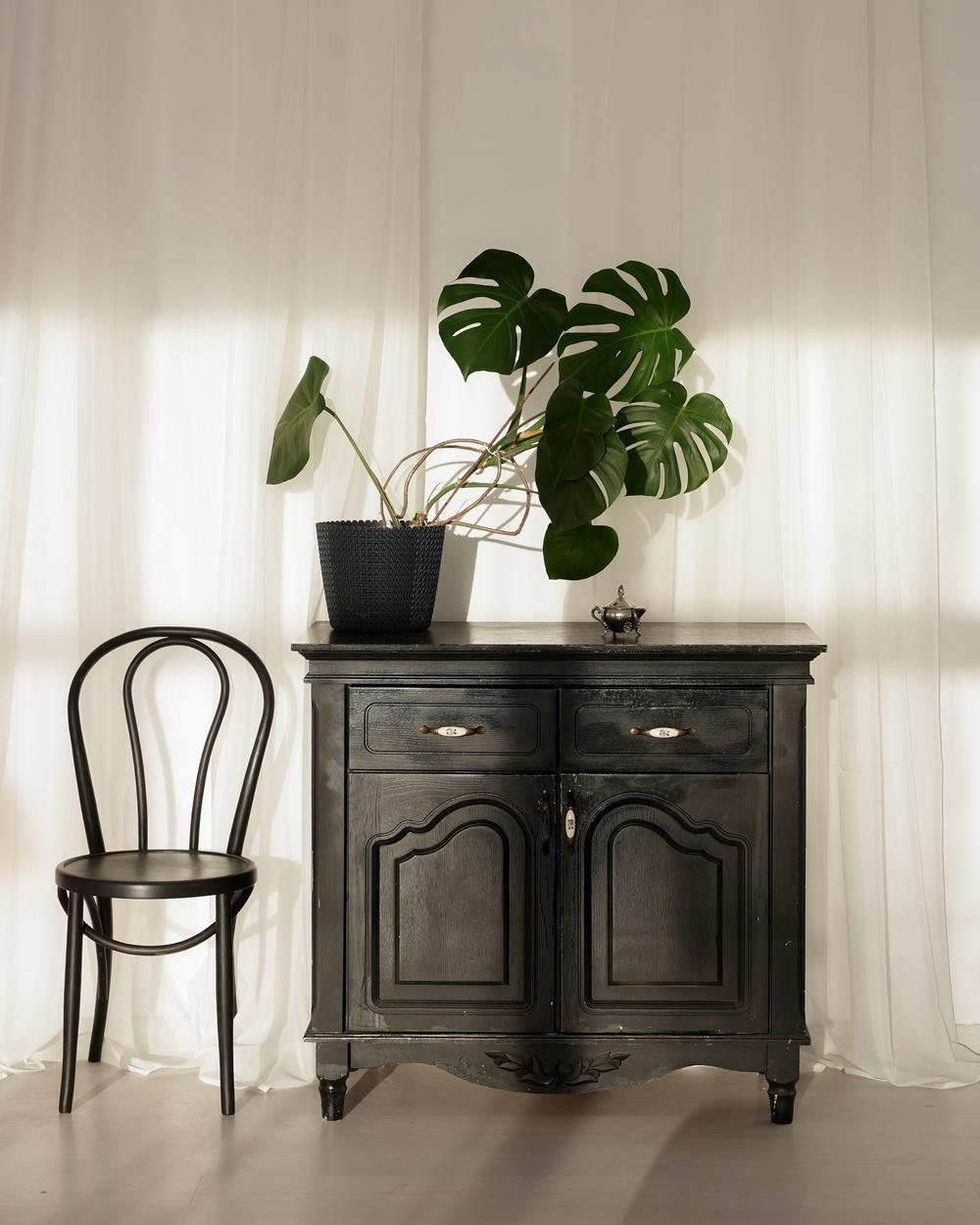 Фотостудия Феломена в Минске — аренда, описание и съёмка с фотографом Людмилой Дутко. Фотограф в Минске Людмила Дутко