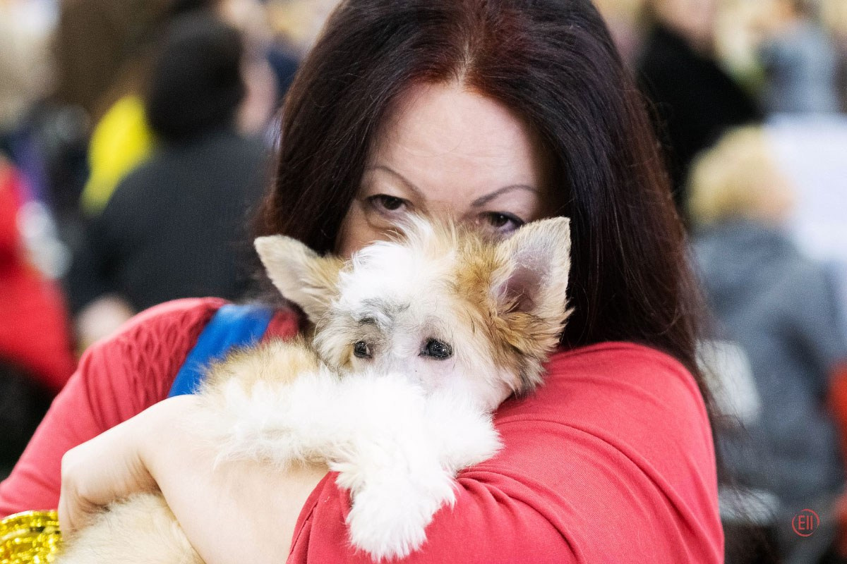 Poale Ell Chen. Chinese Crested Dog Kennel Poale Ell