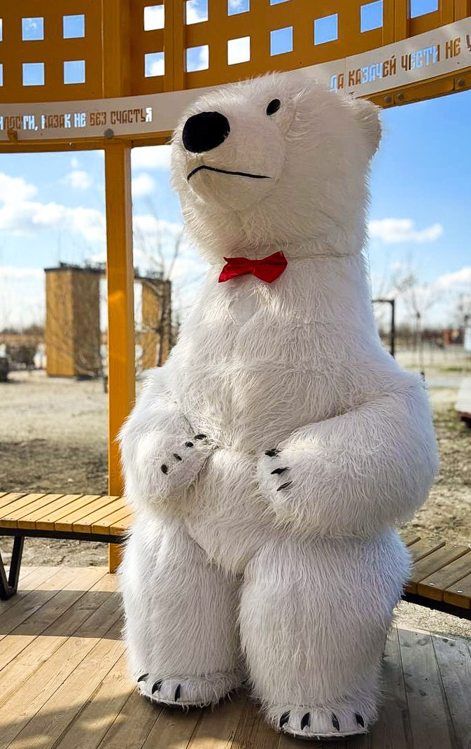 Эксперсс поздравление.ростовые куклы, медведь, панда, горилла. Организатор праздников. Ведущая Марина Гребенникова