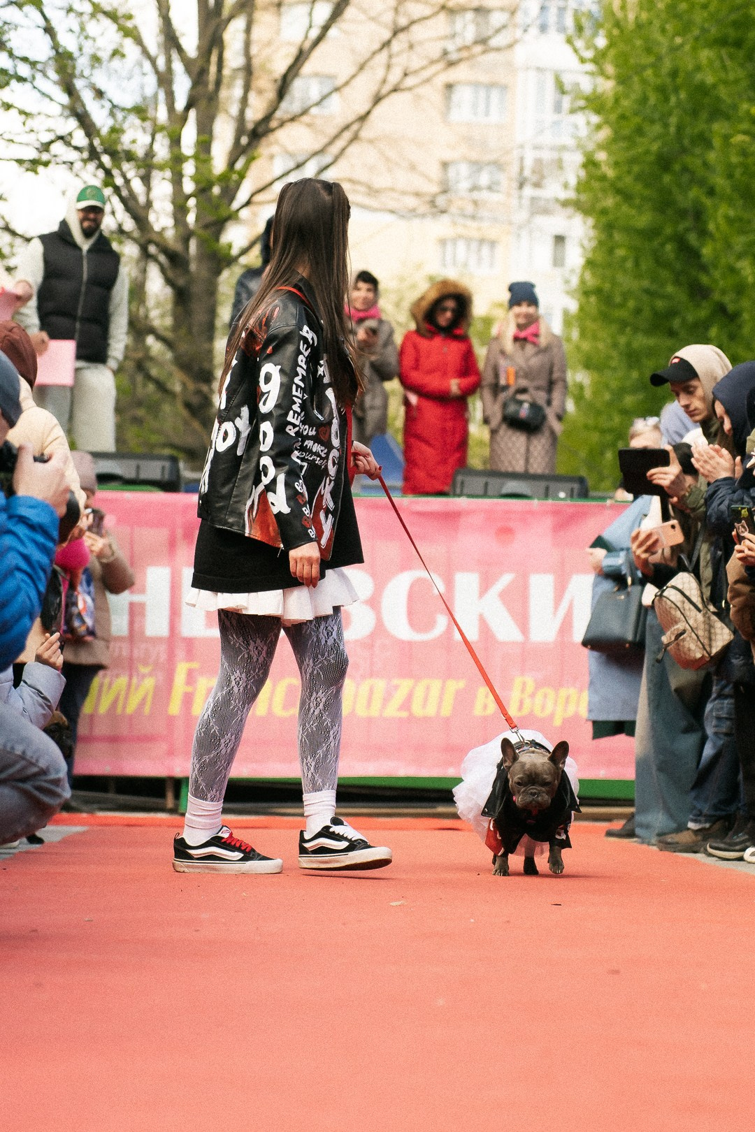 Парад Бульдогов. Axenov_eugene