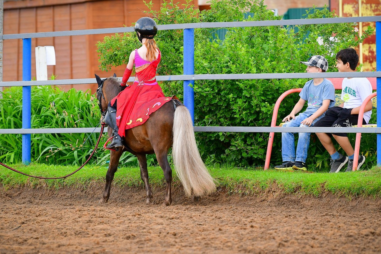 Отзывы. ТУРНИРНАЯ КОННАЯ ФОТОГРАФИЯ, Руднева Ольга и Евгений Адеев
