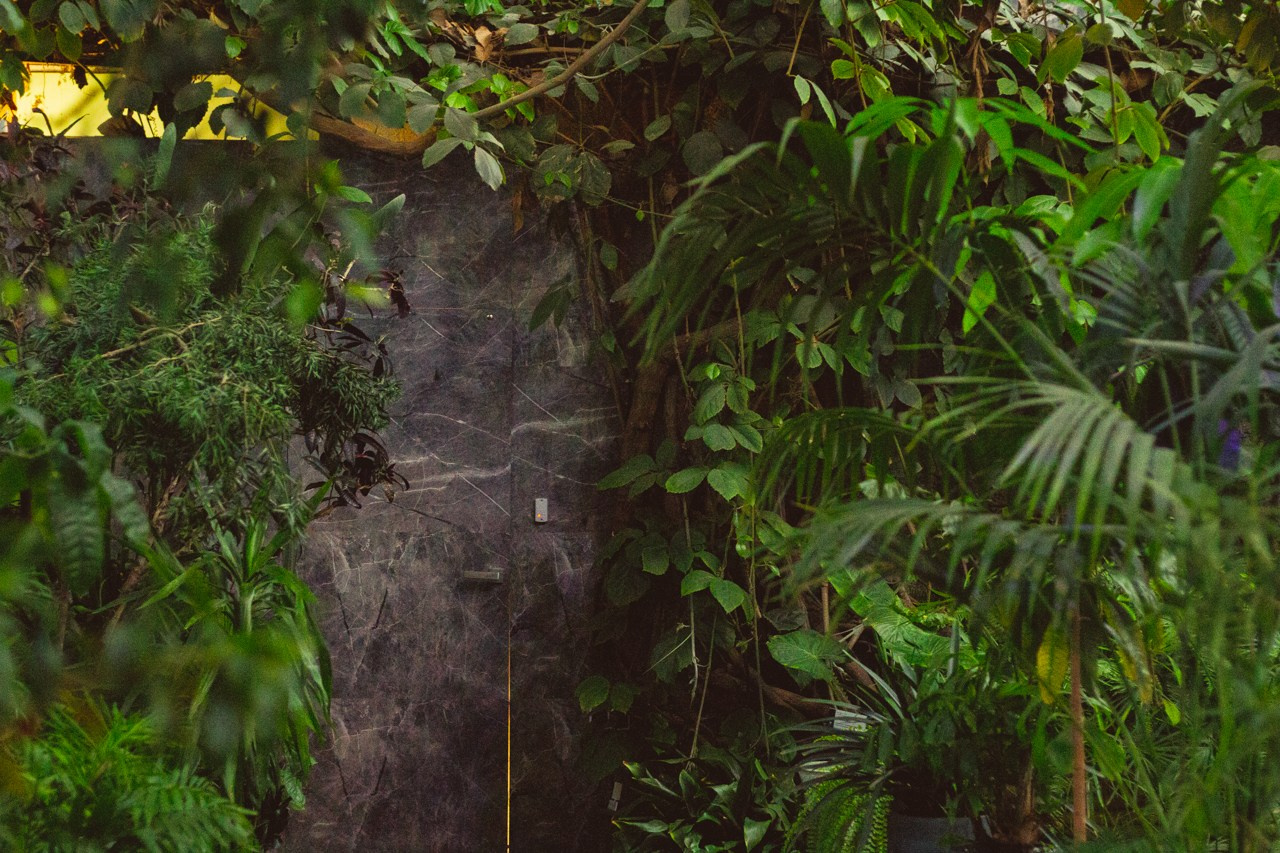 Petro Art — квартет в Таврическом саду (Рок Хиты). EvgenyCraft