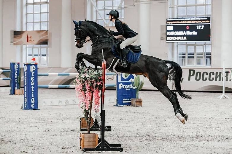 ЗИМНИЙ КУБОК ФЕДЕРАЦИИ КОННОГО СПОРТА ГОРОДА МОСКВЫ. Куракина Дарья • Конный фотограф