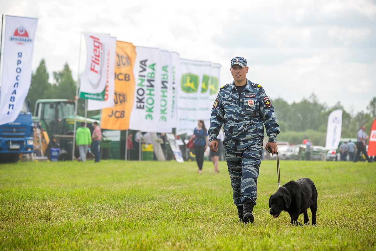 День поля. Фотограф Алексей Новрузов