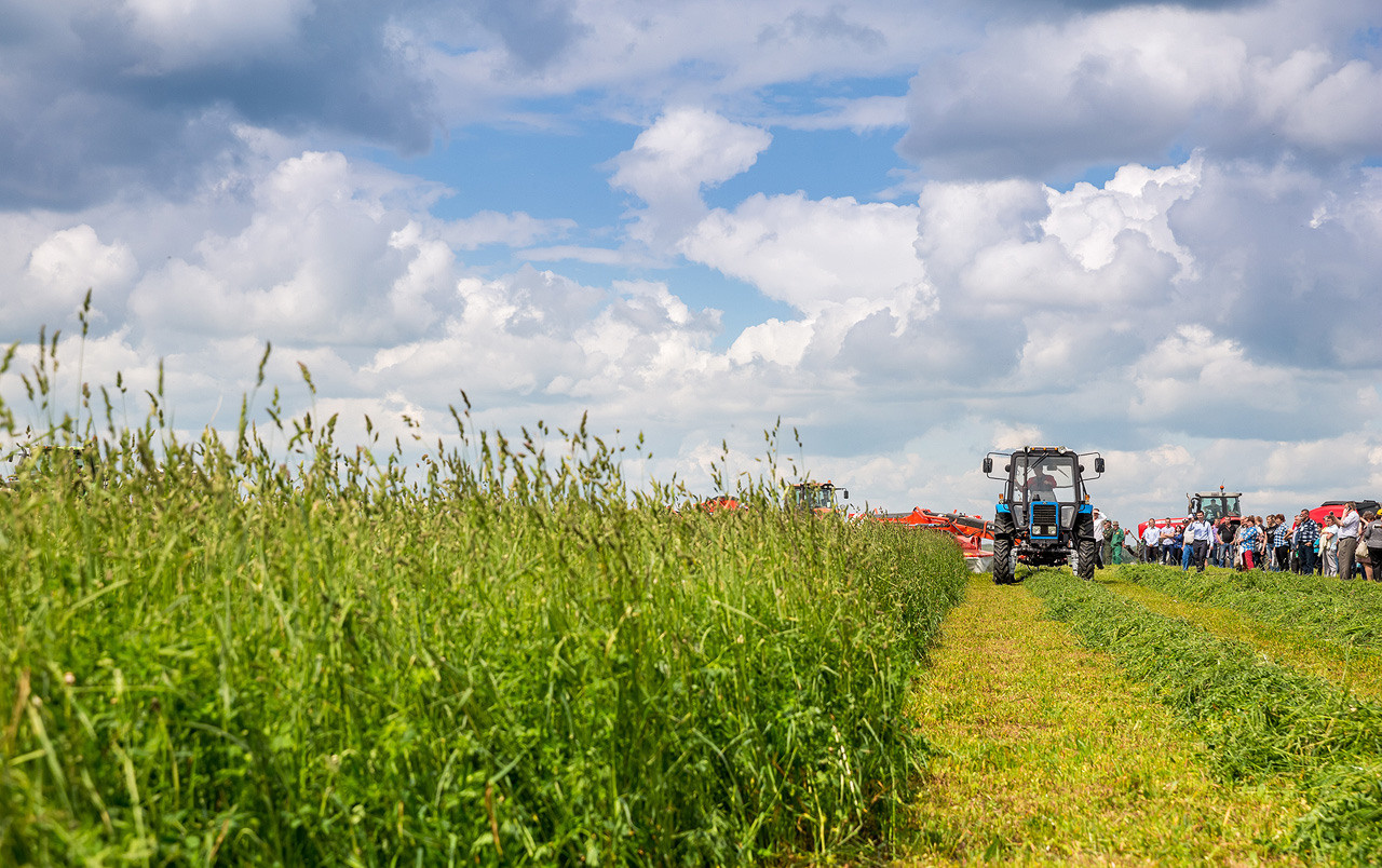День поля. Фотограф Алексей Новрузов