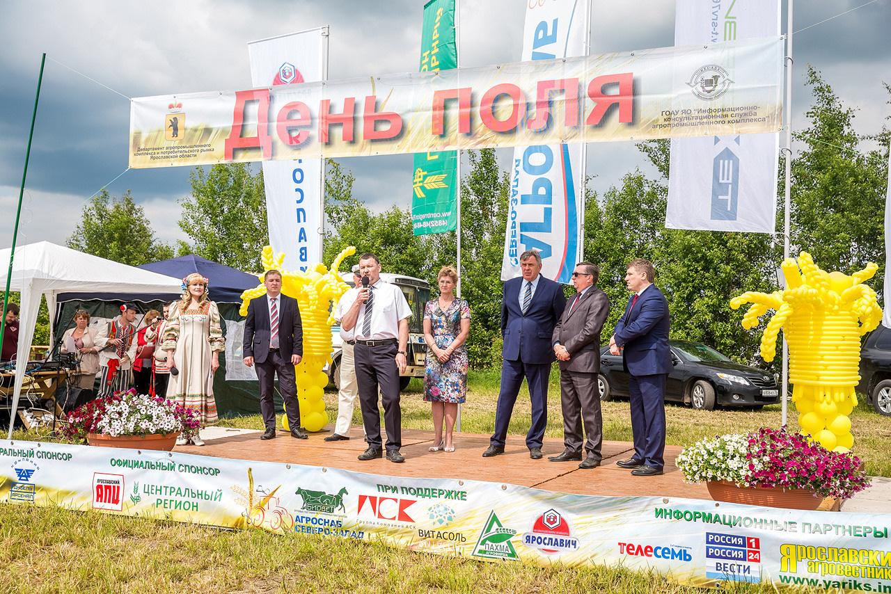 День поля. Фотограф Алексей Новрузов