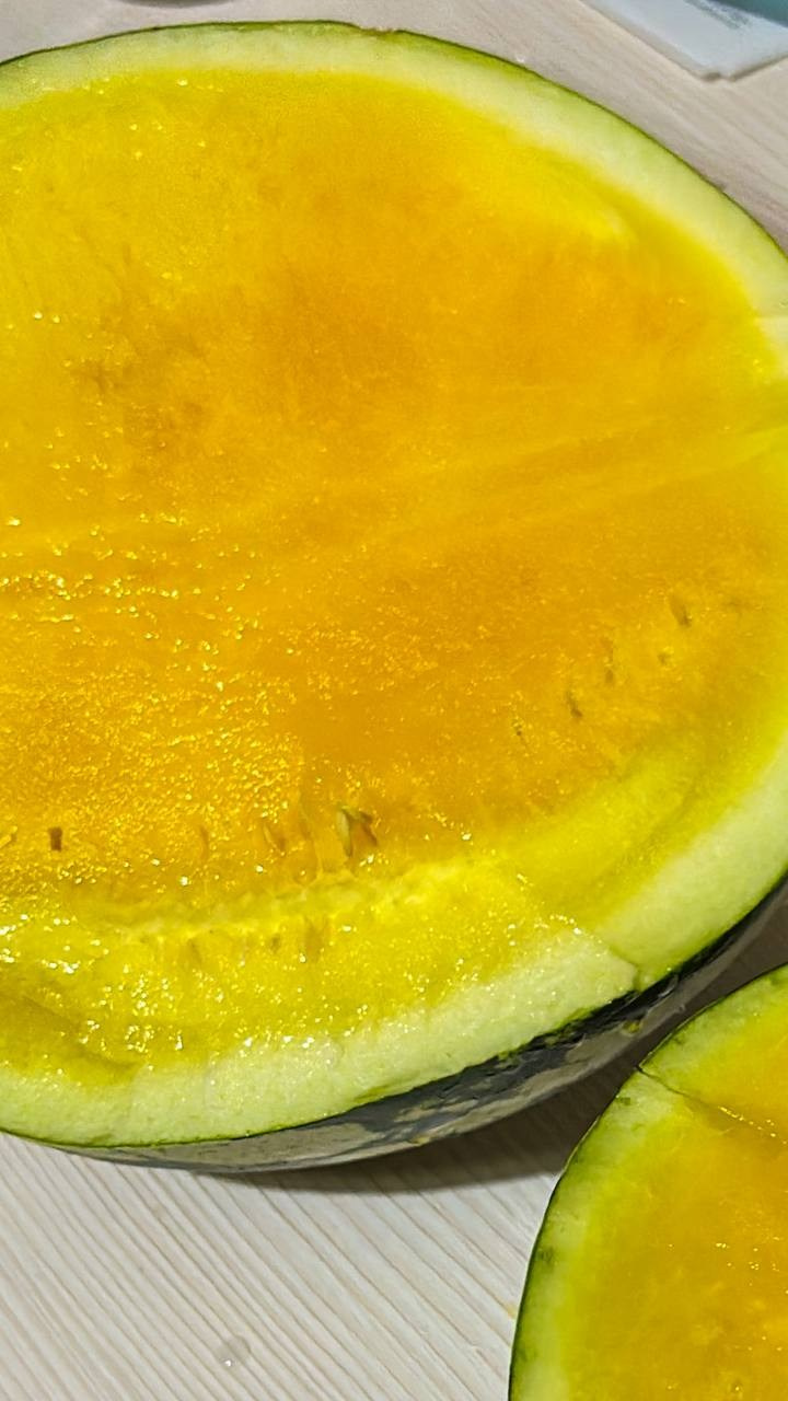 Вкусный юг, село Кабардинка (Геленджик). Персональный фотограф Москва