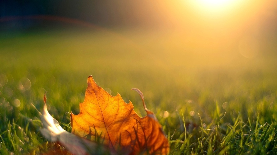 Полезные советы для подготовки к фотосессии. Семейный и детский фотограф в Ельце и Липецке Дарья Шацких