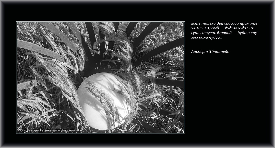 Совет дня — ориентир. Татьяна Корчагина. Фотограф, художник. Обучение фотографии