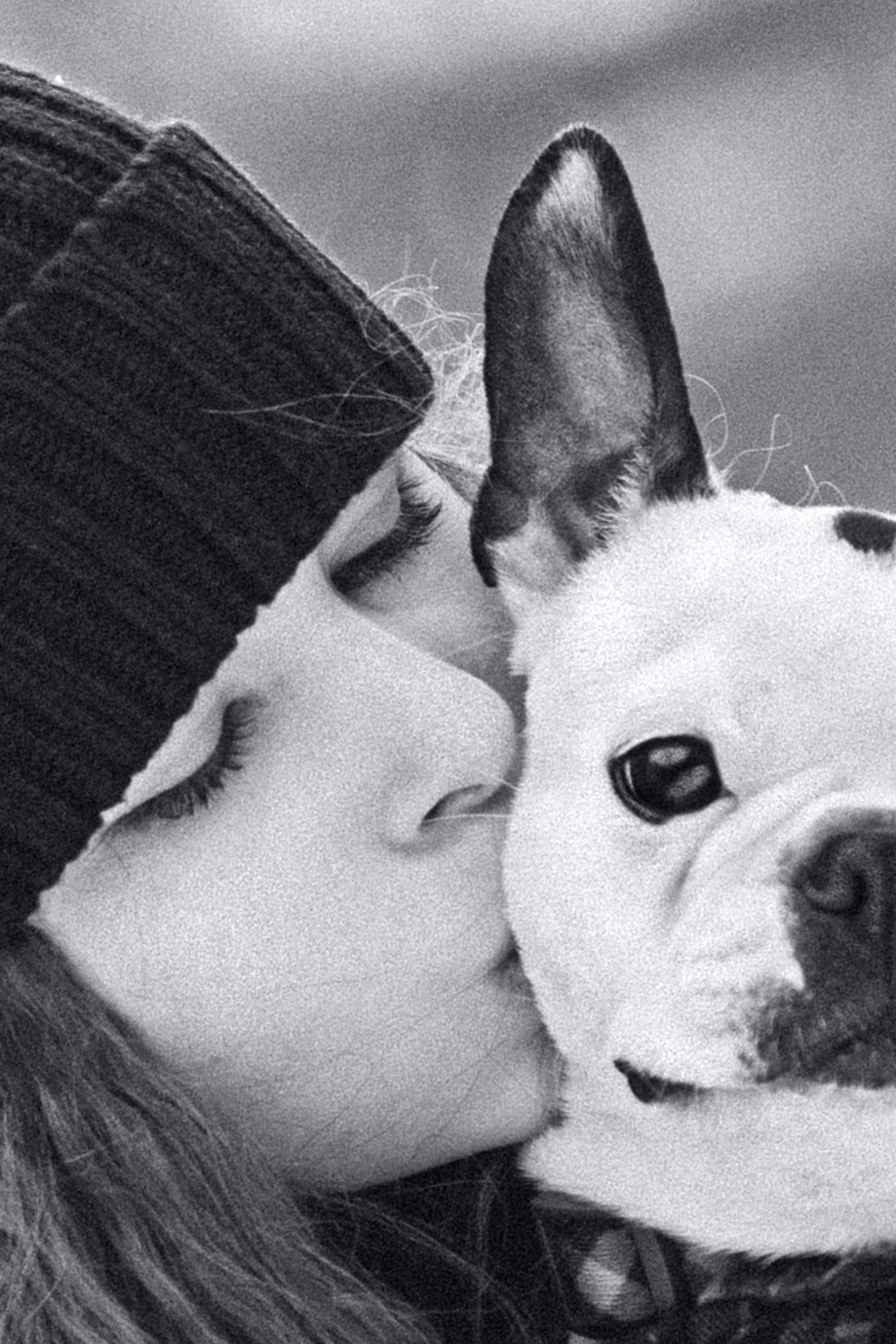 Василиса и Мира Кузнецкий мост. Фотограф-анималист Татьяна Степанова