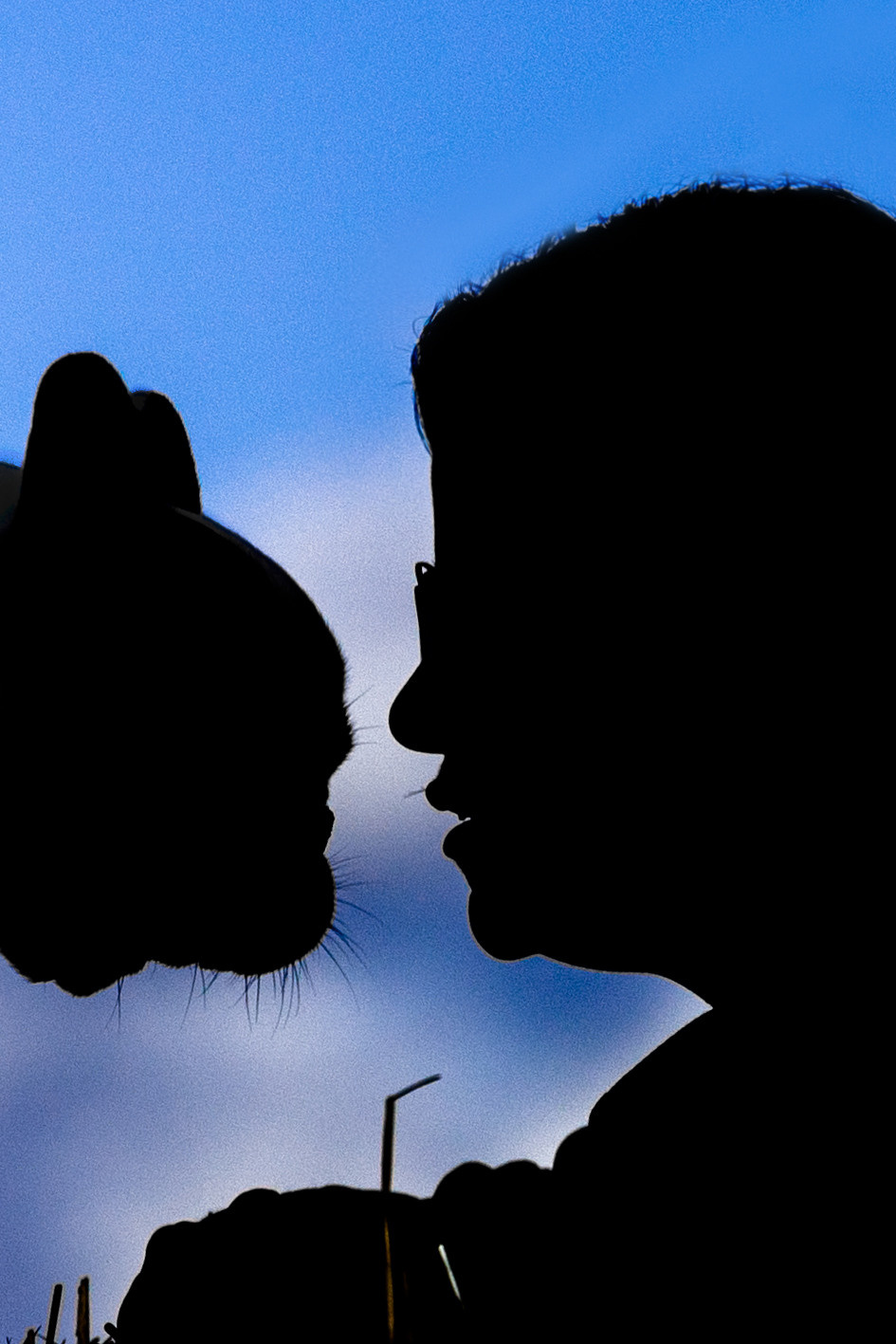 Коломна, стога и подсолнухи. Фотограф-анималист Татьяна Степанова