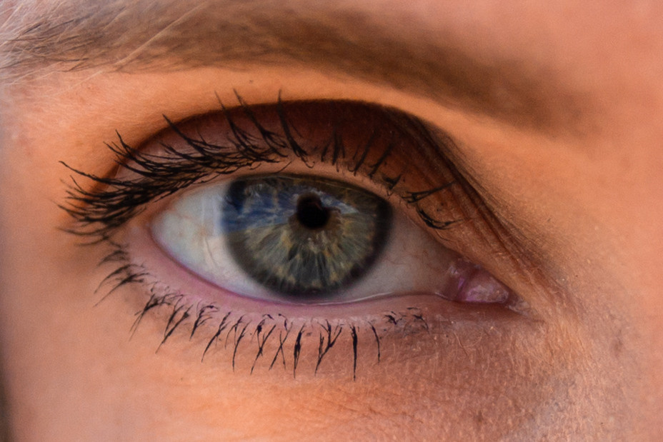 Коломна, стога и подсолнухи. Фотограф-анималист Татьяна Степанова