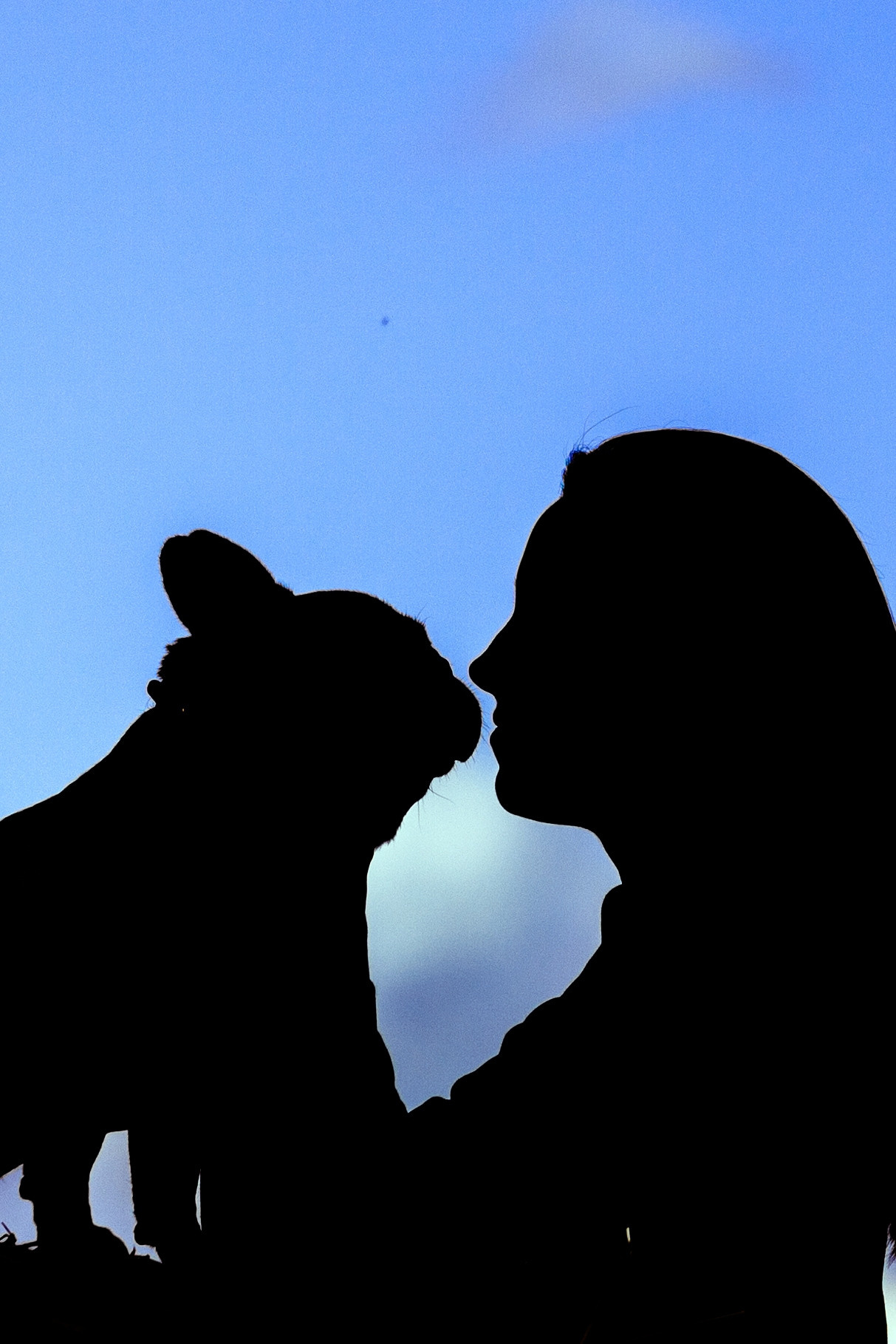 Коломна, стога и подсолнухи. Фотограф-анималист Татьяна Степанова