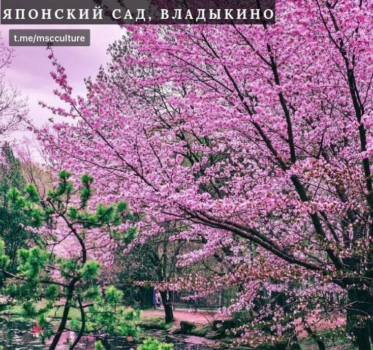 Локации для фотосессии в Москве