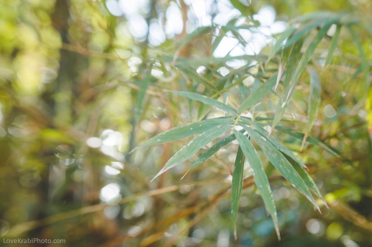 Krabi lovestory prewedding photography. Photography & Events Thailand Krabi