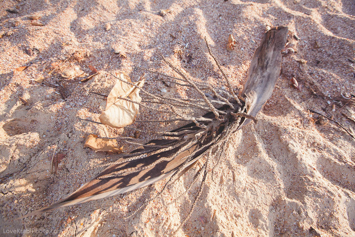 Krabi lovestory prewedding photography. Photography & Events Thailand Krabi