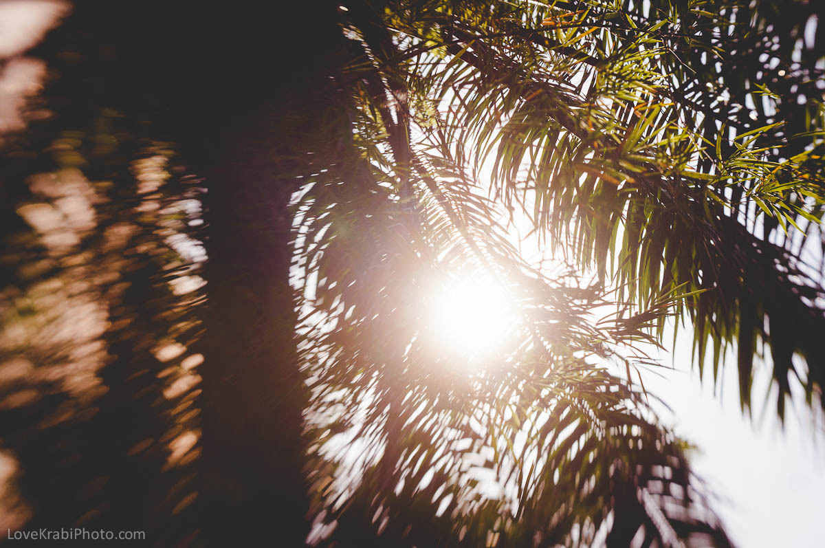 Krabi lovestory prewedding photography. Photography & Events Thailand Krabi